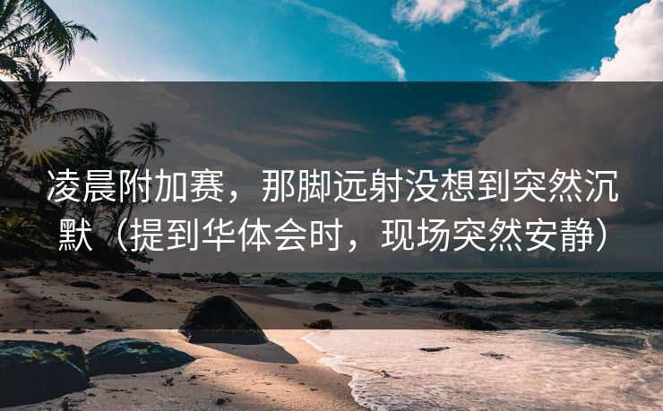 凌晨附加赛，那脚远射没想到突然沉默（提到华体会时，现场突然安静）