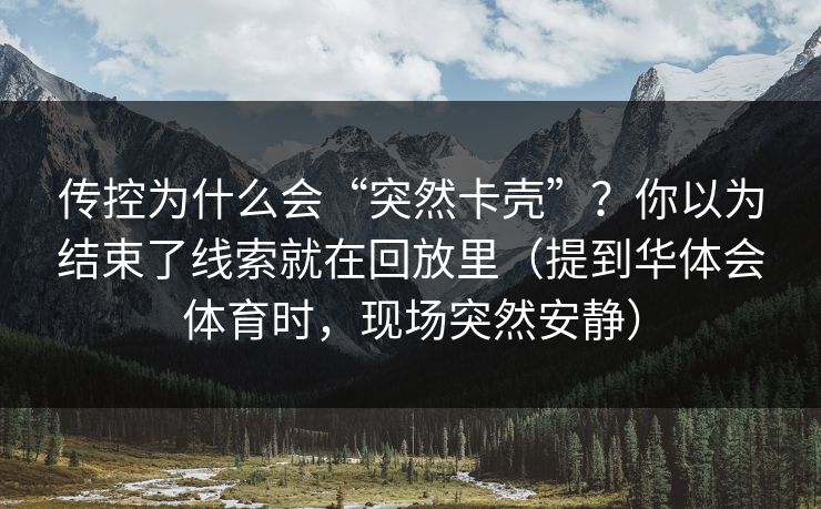 传控为什么会“突然卡壳”？你以为结束了线索就在回放里（提到华体会体育时，现场突然安静）